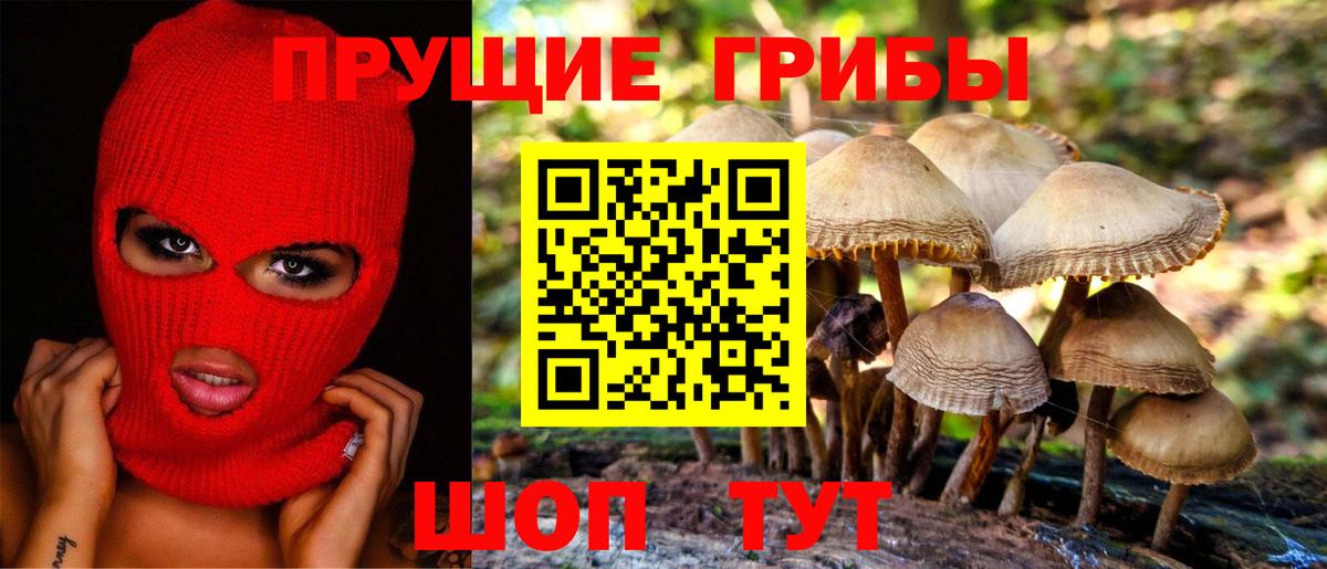 Москва  Псилоцибиновые грибы Cubensis  Галлюциногенные грибы ЛСД  Вход с VPN 