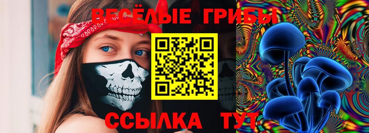 Псилоцибиновые грибы мухоморы Москва